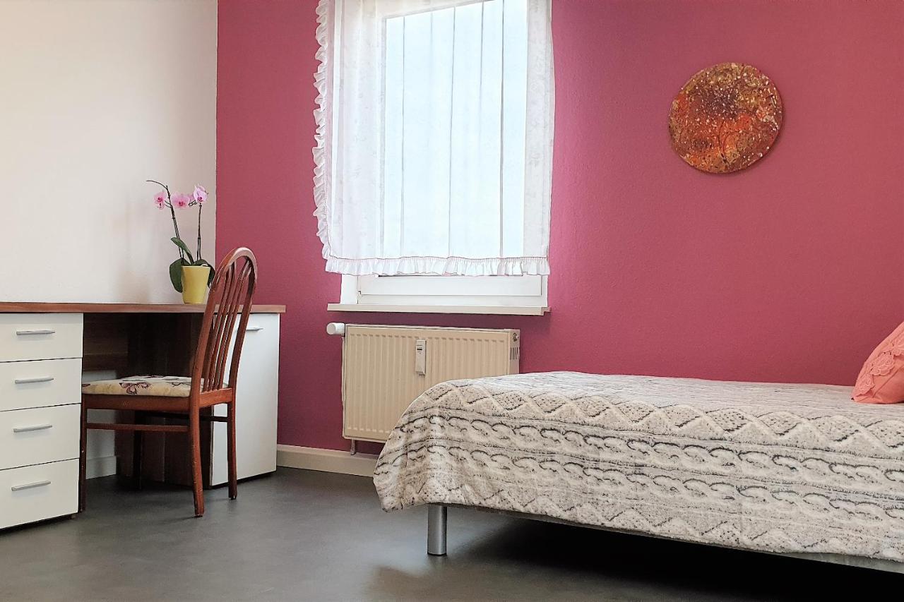 Apartment Bayreuth, Grosse Ferienwohnung Im Haus Mit Kunst, 3 Schlafzimmer, Kueche, Parkplatz Eksteriør bilde